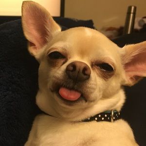 Meet your Posher, James